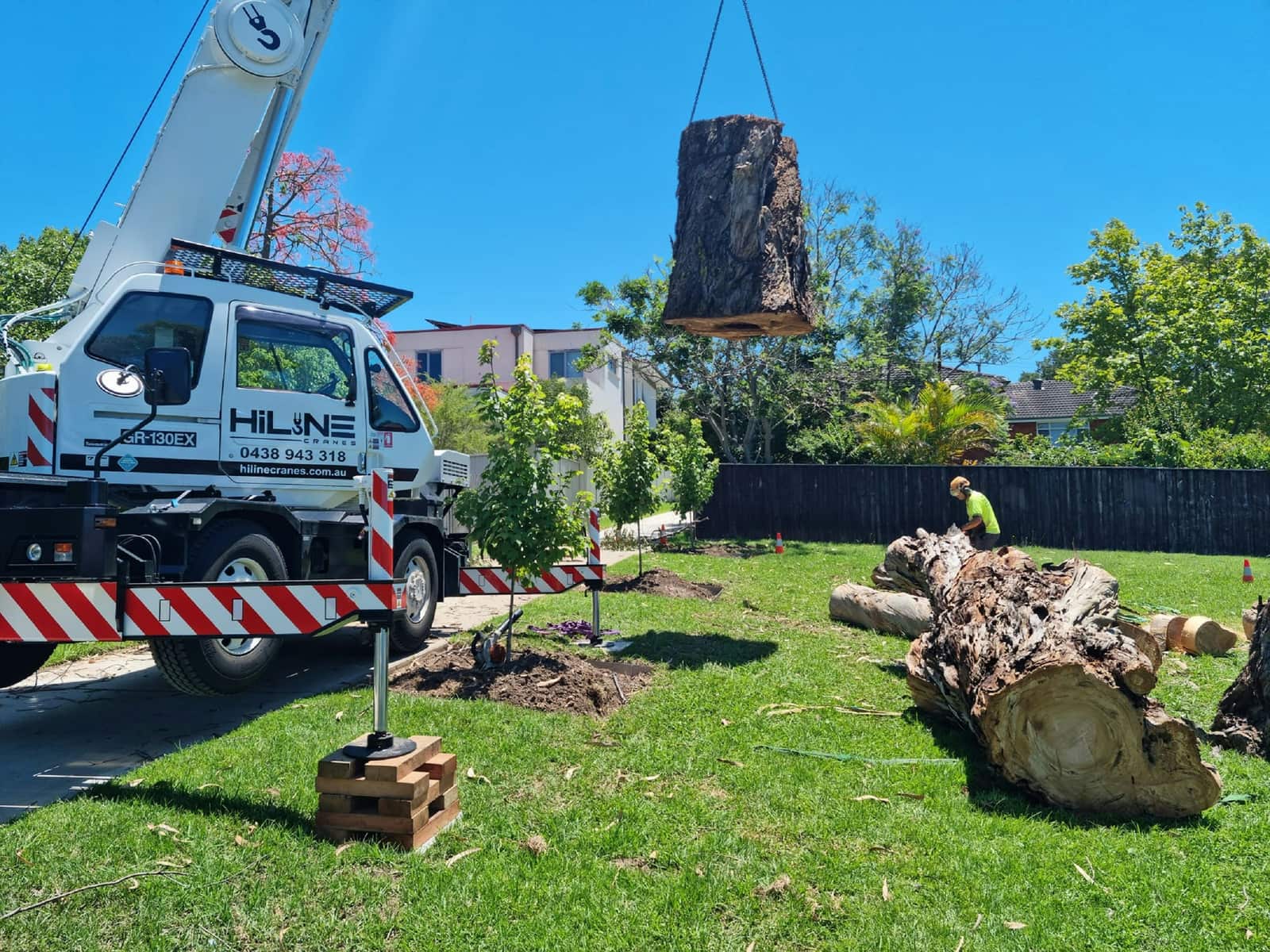 Stump grinding in Dallas